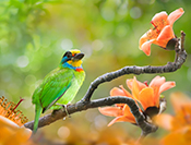 sue hsu's photo